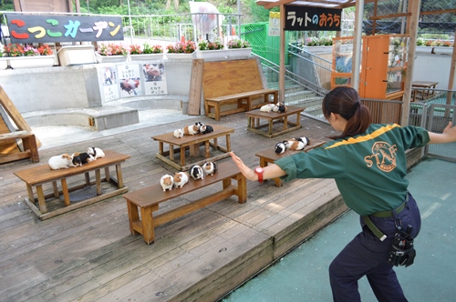 野毛山動物園 なかよし広場から オファー ベビーカー